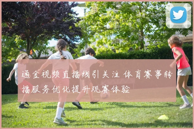 通金视频直播线引关注 体育赛事转播服务优化提升观赛体验
