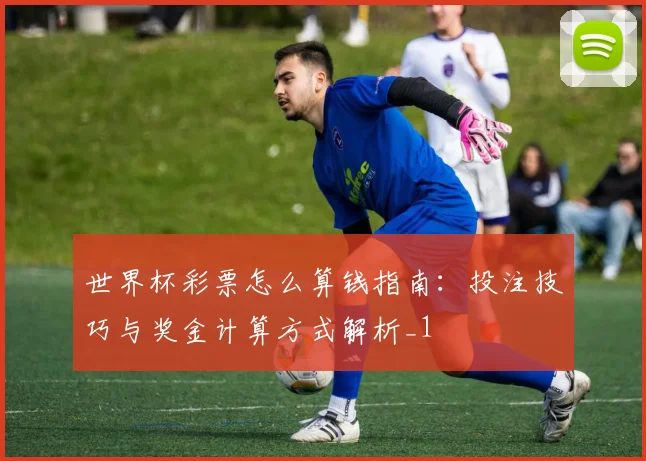 世界杯彩票怎么算钱指南：投注技巧与奖金计算方式解析_1