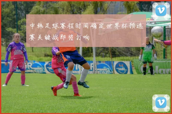 中韩足球赛程时间确定世界杯预选赛关键战即将打响