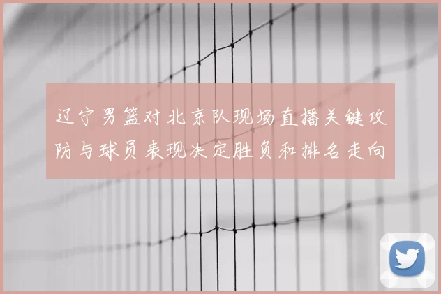 辽宁男篮对北京队现场直播关键攻防与球员表现决定胜负和排名走向