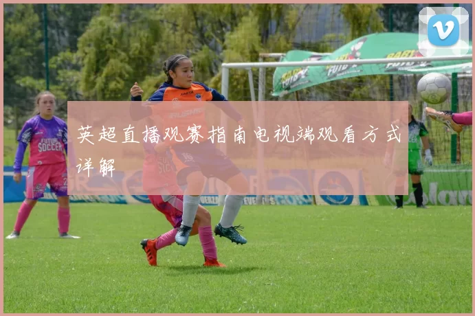 英超直播观赛指南电视端观看方式详解