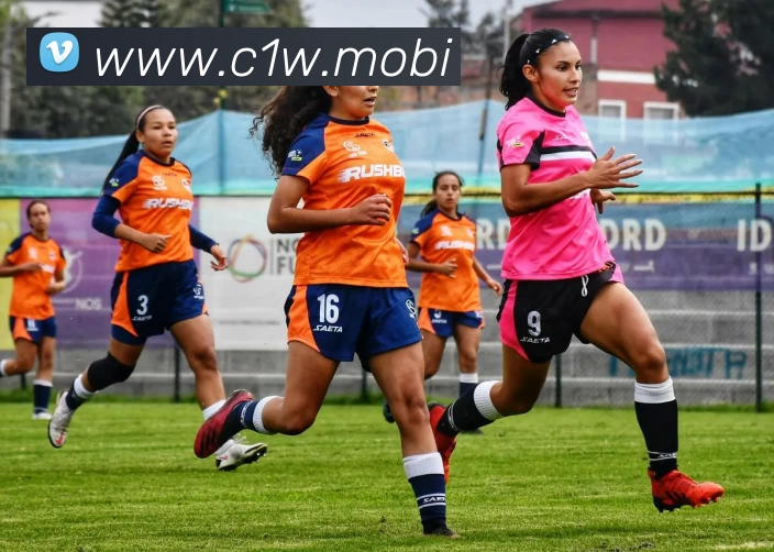 南宫pg娱乐电子游戏平台下载(中国)官方网站APP 高清赛事图